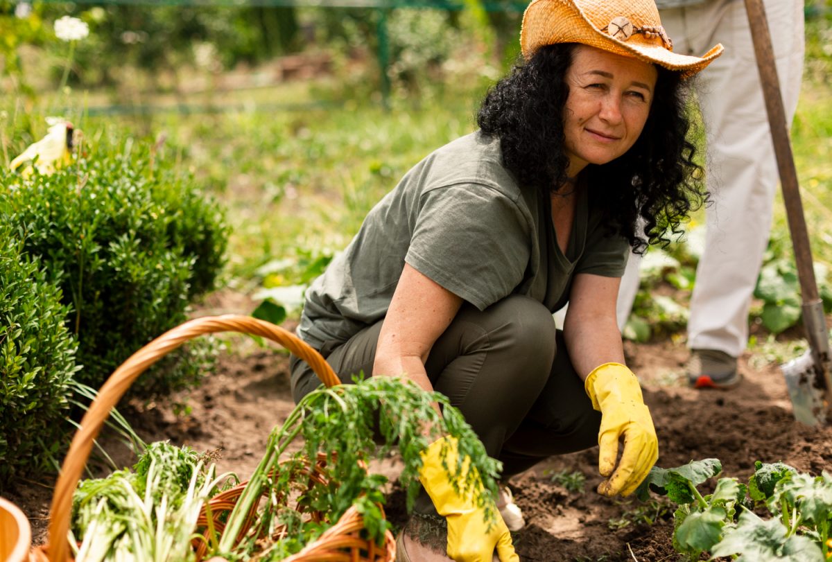 Jardiner en ville : comment cultiver un potager sur un petit espace ?
