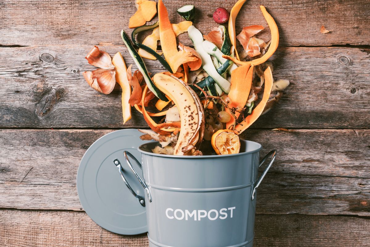 Compost maison